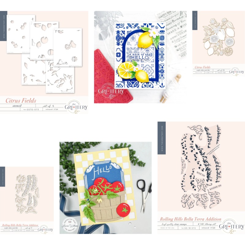 Checks Out Citrus Fields trans – Clear Silicone Stamps For Card Making Bewertung und Preis